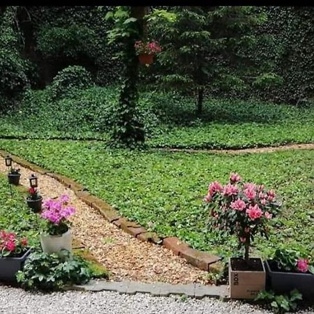 דירות זאגרב City Centar Apartman With Garden מראה חיצוני תמונה