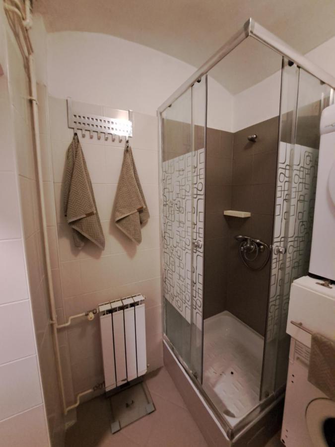 דירות זאגרב City Centar Apartman With Garden מראה חיצוני תמונה