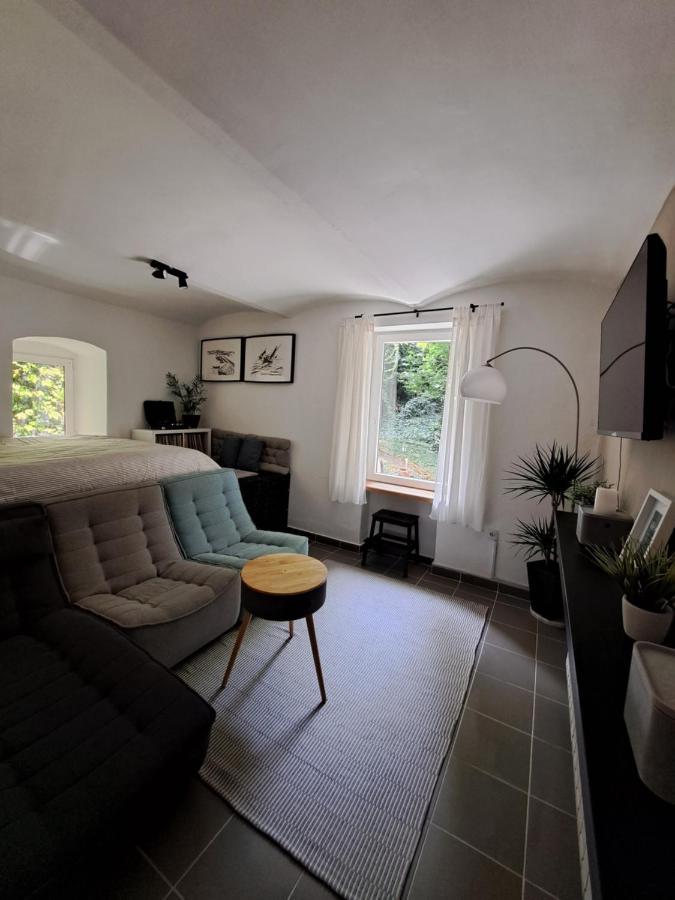 דירות זאגרב City Centar Apartman With Garden מראה חיצוני תמונה