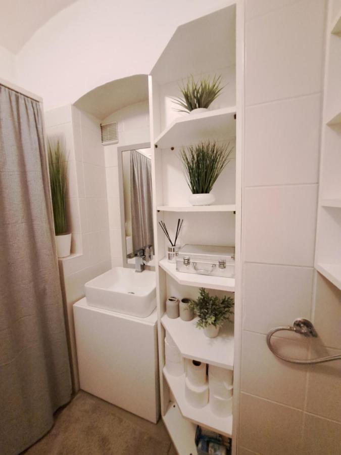 דירות זאגרב City Centar Apartman With Garden מראה חיצוני תמונה
